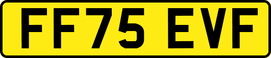 FF75EVF