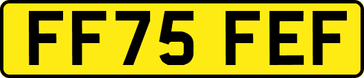 FF75FEF
