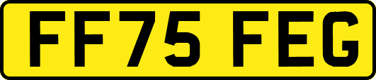FF75FEG