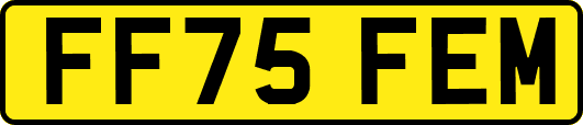 FF75FEM