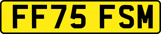 FF75FSM
