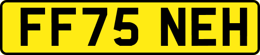 FF75NEH
