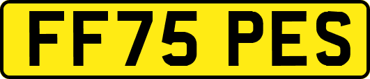 FF75PES