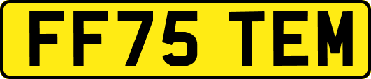 FF75TEM