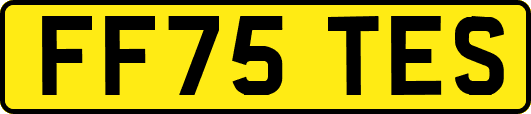 FF75TES