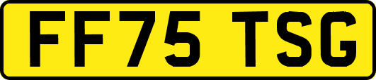 FF75TSG