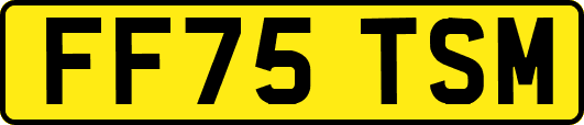 FF75TSM