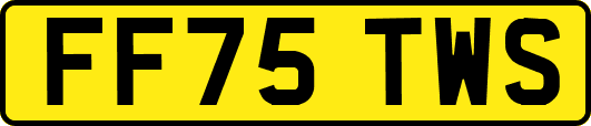 FF75TWS