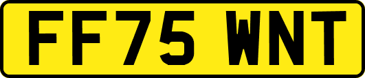 FF75WNT