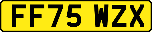 FF75WZX