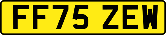 FF75ZEW