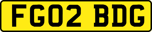 FG02BDG
