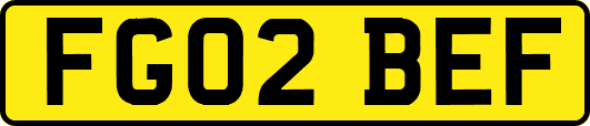 FG02BEF