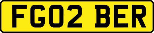 FG02BER