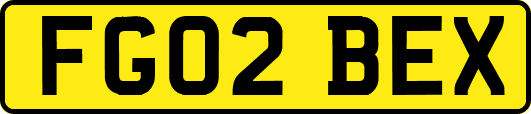FG02BEX