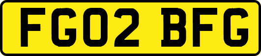 FG02BFG