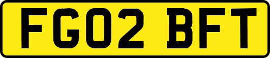 FG02BFT