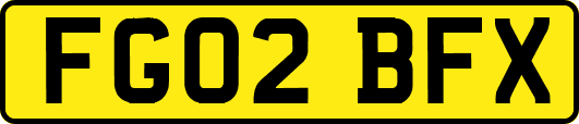 FG02BFX