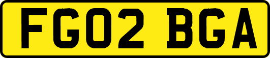FG02BGA