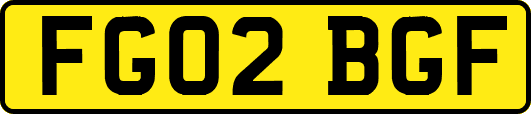 FG02BGF