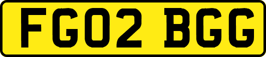 FG02BGG