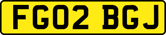 FG02BGJ