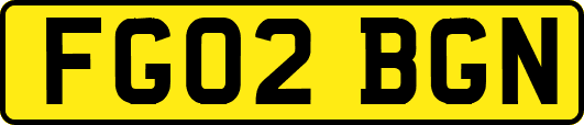 FG02BGN