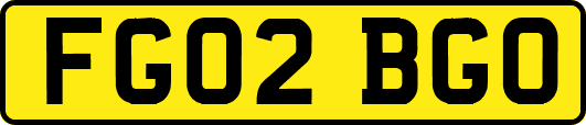 FG02BGO
