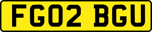 FG02BGU