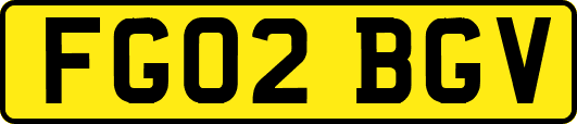 FG02BGV