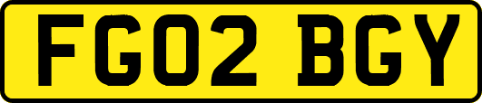 FG02BGY