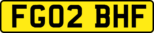 FG02BHF