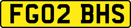 FG02BHS