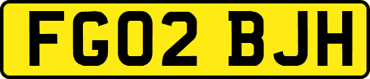 FG02BJH