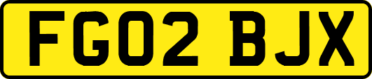 FG02BJX
