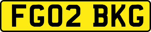 FG02BKG