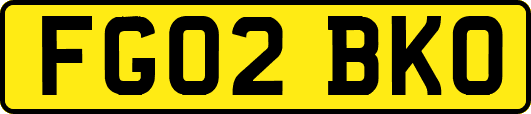 FG02BKO