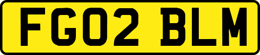 FG02BLM