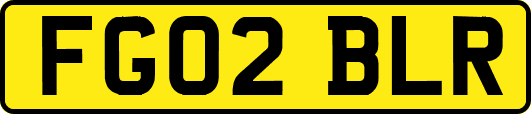 FG02BLR
