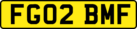 FG02BMF