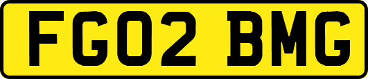 FG02BMG