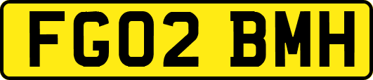 FG02BMH