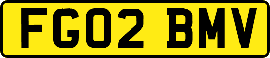 FG02BMV