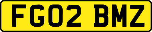 FG02BMZ
