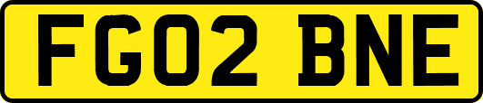 FG02BNE