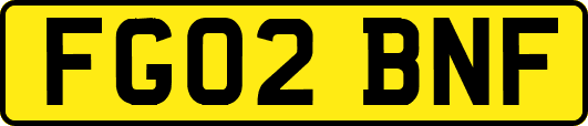 FG02BNF