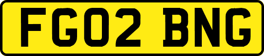 FG02BNG