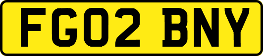 FG02BNY