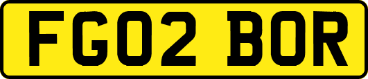 FG02BOR