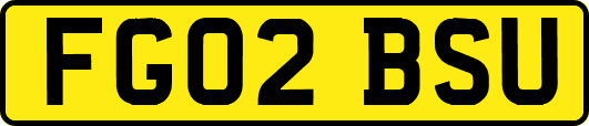 FG02BSU